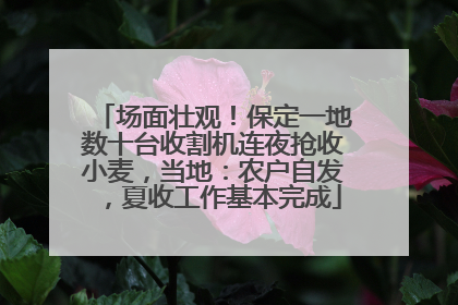 场面壮观！保定一地数十台收割机连夜抢收小麦，当地：农户自发，夏收工作基本完成