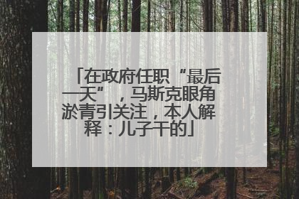 在政府任职“最后一天”，马斯克眼角淤青引关注，本人解释：儿子干的