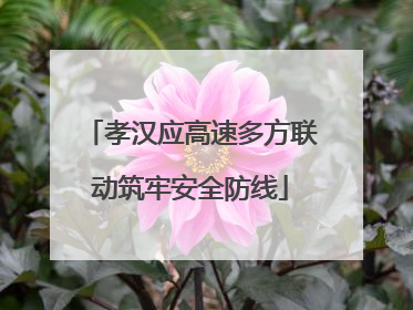 孝汉应高速多方联动筑牢安全防线