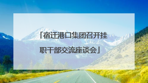 宿迁港口集团召开挂职干部交流座谈会