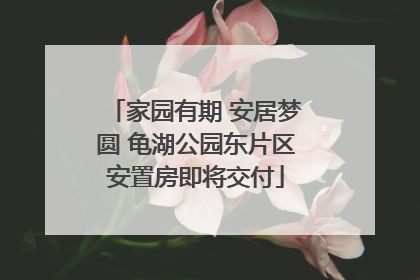 家园有期 安居梦圆 龟湖公园东片区安置房即将交付