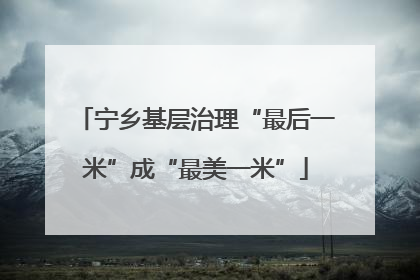 宁乡基层治理“最后一米”成“最美一米”