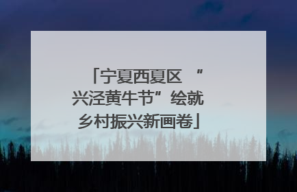宁夏西夏区 “兴泾黄牛节”绘就乡村振兴新画卷
