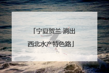 宁夏贺兰 淌出西北水产特色路