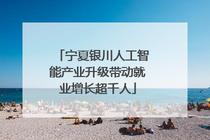 宁夏银川人工智能产业升级带动就业增长超千人