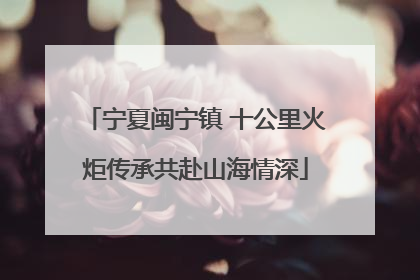 宁夏闽宁镇 十公里火炬传承共赴山海情深