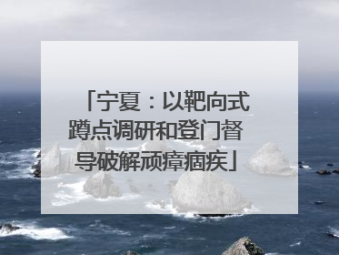宁夏：以靶向式蹲点调研和登门督导破解顽瘴痼疾