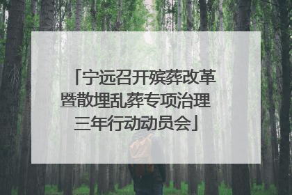 宁远召开殡葬改革暨散埋乱葬专项治理三年行动动员会