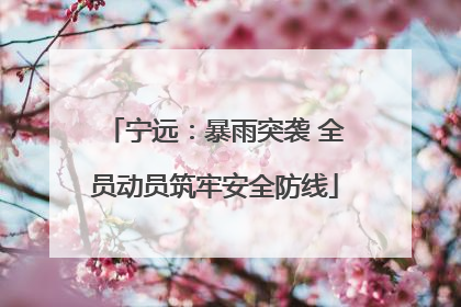 宁远：暴雨突袭 全员动员筑牢安全防线