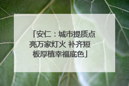 安仁：城市提质点亮万家灯火 补齐短板厚植幸福底色