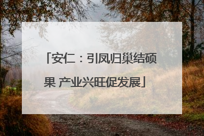 安仁：引凤归巢结硕果 产业兴旺促发展