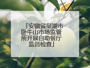 安徽省巢湖市卧牛山市场监管所开展自助餐厅监督检查