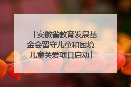 安徽省教育发展基金会留守儿童和困境儿童关爱项目启动
