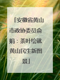 安徽省黄山市政协委员俞娟：茶叶绘就黄山民生新图景