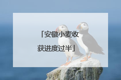 安徽小麦收获进度过半