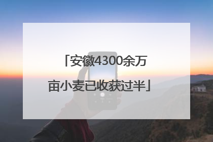 安徽4300余万亩小麦已收获过半