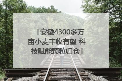 安徽4300多万亩小麦丰收有望 科技赋能颗粒归仓