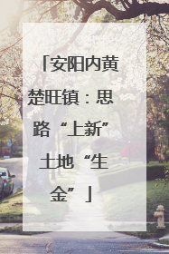 安阳内黄楚旺镇：思路“上新” 土地“生金”