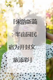 宋韵新篇：半亩园民宿为开封文旅添彩