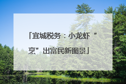 宜城税务：小龙虾“烹”出富民新图景