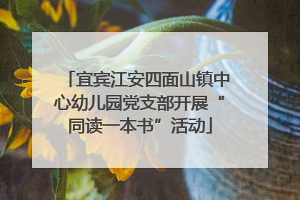 宜宾江安四面山镇中心幼儿园党支部开展“同读一本书”活动