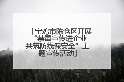 宝鸡市陈仓区开展“禁毒宣传进企业 共筑防线保安全”主题宣传活动