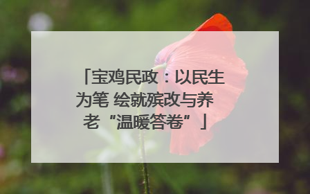 宝鸡民政：以民生为笔 绘就殡改与养老“温暖答卷”