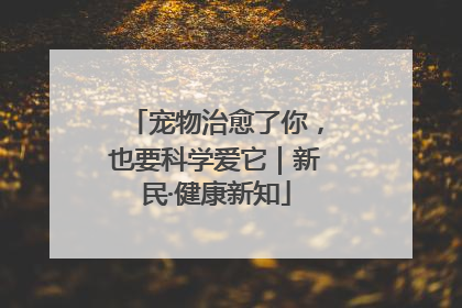 宠物治愈了你，也要科学爱它｜新民·健康新知