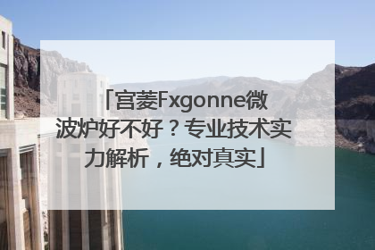 宫菱Fxgonne微波炉好不好？专业技术实力解析，绝对真实