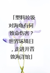 塑料垃圾对海龟有何致命伤害？世界环境日，走进开普敦海洋馆