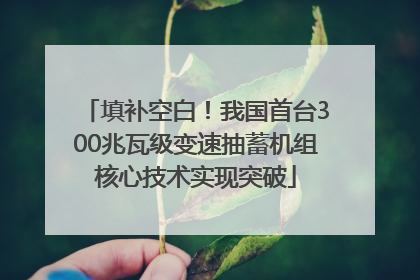 填补空白！我国首台300兆瓦级变速抽蓄机组核心技术实现突破