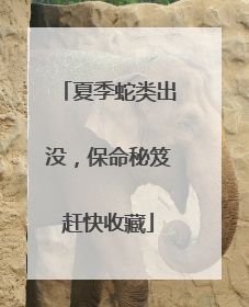 夏季蛇类出没，保命秘笈赶快收藏