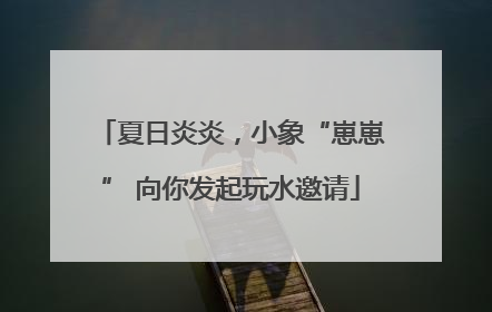 夏日炎炎，小象“崽崽” 向你发起玩水邀请