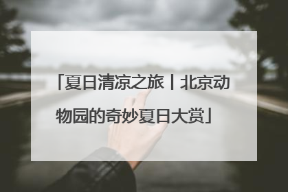 夏日清凉之旅丨北京动物园的奇妙夏日大赏
