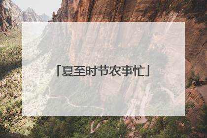 夏至时节农事忙