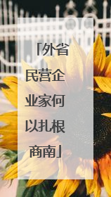 外省民营企业家何以扎根商南