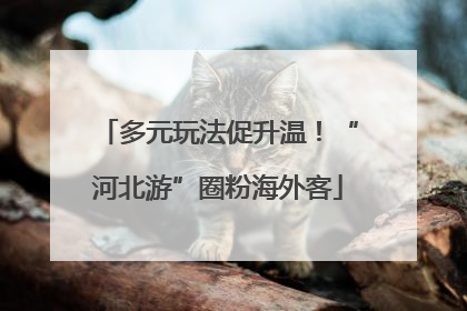 多元玩法促升温！“河北游”圈粉海外客
