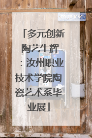 多元创新 陶艺生辉：汝州职业技术学院陶瓷艺术系毕业展