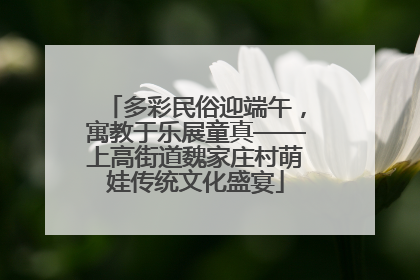 多彩民俗迎端午，寓教于乐展童真——上高街道魏家庄村萌娃传统文化盛宴