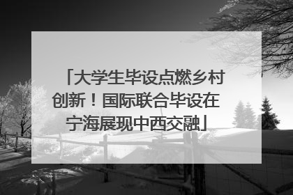 大学生毕设点燃乡村创新！国际联合毕设在宁海展现中西交融
