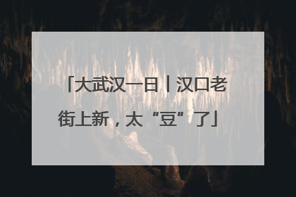 大武汉一日︱汉口老街上新，太“豆”了