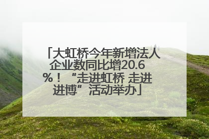 大虹桥今年新增法人企业数同比增20.6%！“走进虹桥 走进进博”活动举办