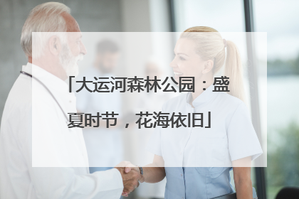 大运河森林公园：盛夏时节，花海依旧