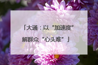 大通：以“加速度”解群众“心头难”