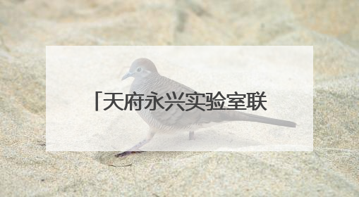天府永兴实验室联席执行主任梁斌：落实从实验室到产业发展的最后一公里