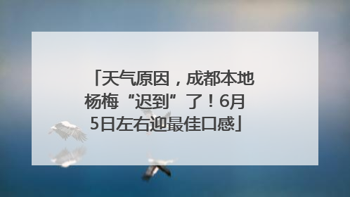 天气原因，成都本地杨梅“迟到”了！6月5日左右迎最佳口感
