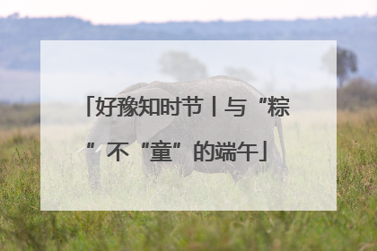 好豫知时节丨与“粽”不“童”的端午