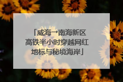 威海→南海新区 高铁半小时穿越网红地标与秘境海岸