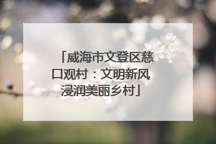 威海市文登区慈口观村：文明新风浸润美丽乡村
