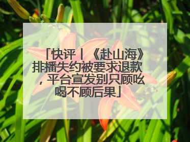 快评丨《赴山海》排播失约被要求退款，平台宣发别只顾吆喝不顾后果